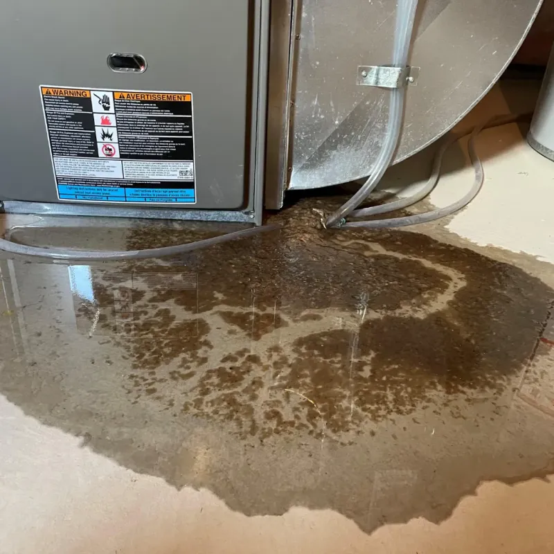 Appliance Leak Cleanup in Tool, TX