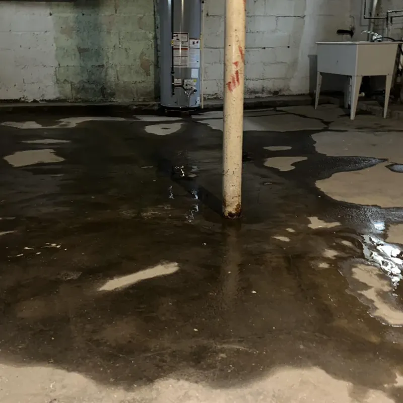 Emergency Water Extraction And Removal in Tool, TX
